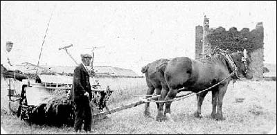 Robert Wilson supervising work near the ruins of Eden Castle