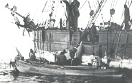 A Greenland Whale alongside the "Eclipse", Greenland Sea, 1888 courtesy Arbuthnot Museum