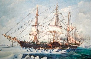 The Polar Star