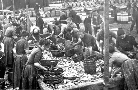 A busy curing yard